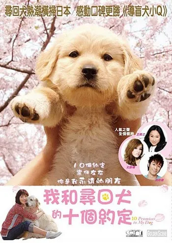 10 Promises to My Dog (2008) 10 ข้อสัญญาน้องหมาของฉัน