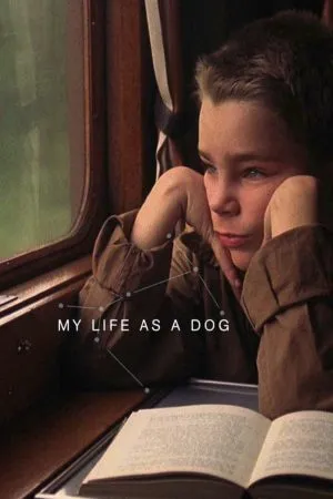 My Life as a Dog (Mitt liv som hund) (1985) บรรยายไทย